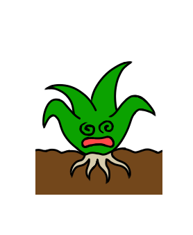 【社長のひとりごと】No.50-踏まれたら立ち上がらない<雑草魂>